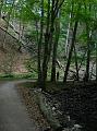 DSCN5193