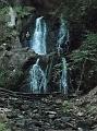 DSCN5196
